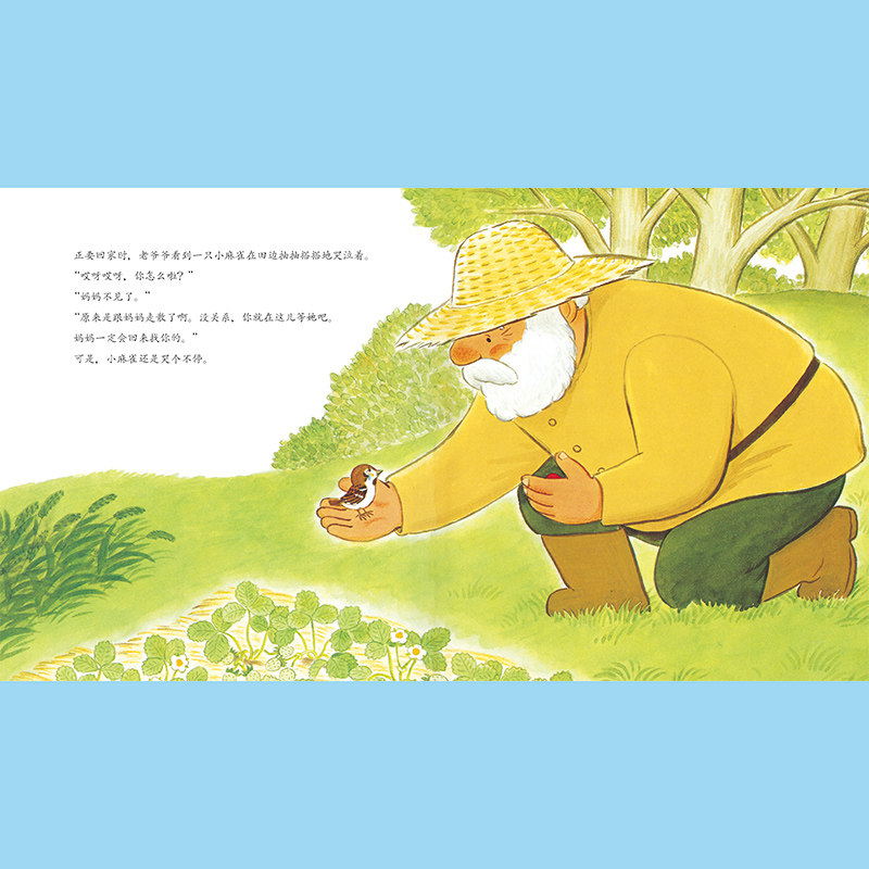 【点读版】善平爷爷的草莓 精装绘本海豚绘本花园3-6岁儿童温暖治愈故事图画书幼儿园暖心故事图书 博库网,淘宝优惠券,粉丝福利购,淘宝优惠卷