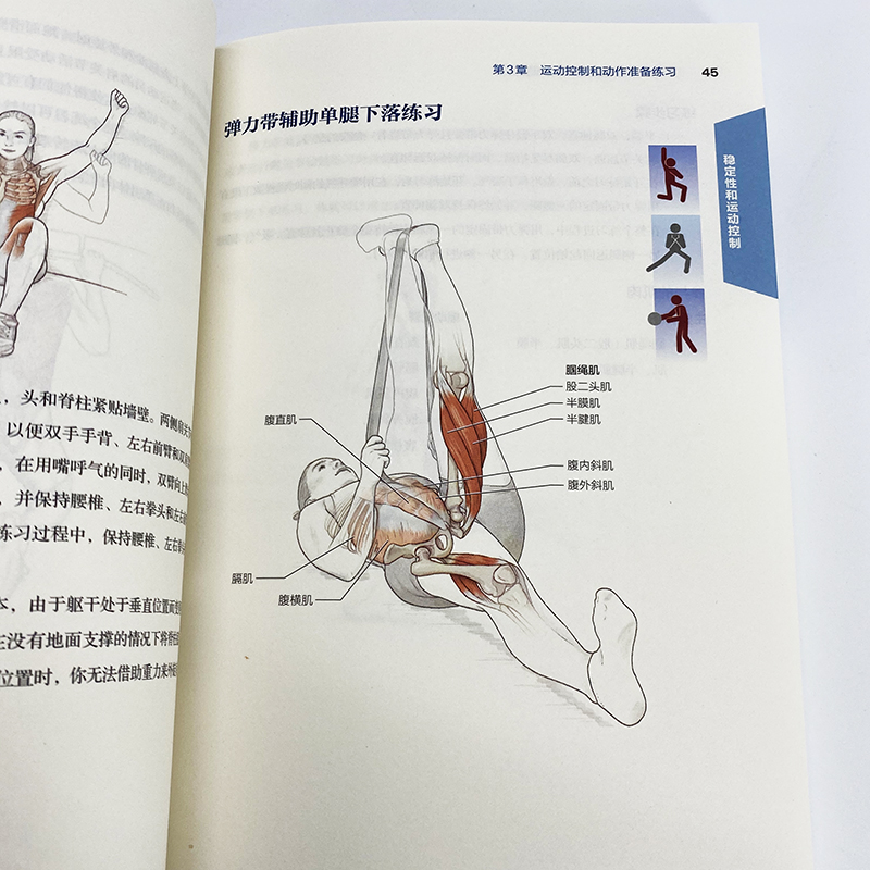 2022新书功能性训练原理与经典动作解剖图谱运动解剖学图谱功能性训练书籍运动员教练员培训教程人民邮电出版社-图2