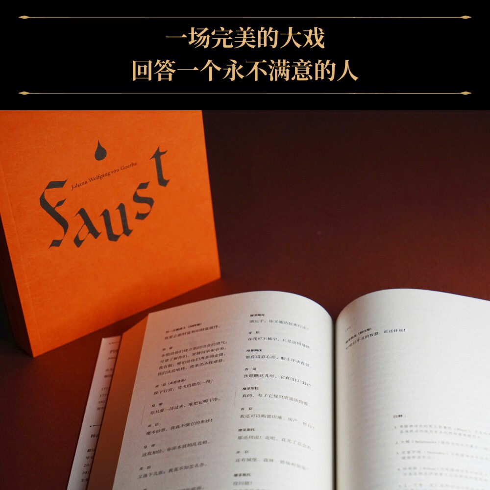 浮士德 全新修订版 歌德 杨武能译本 文学巨匠 歌德心血之作 跨越六十年 创作 诗剧 翻译文化终身成就奖得主杨武能译本_虎窝淘