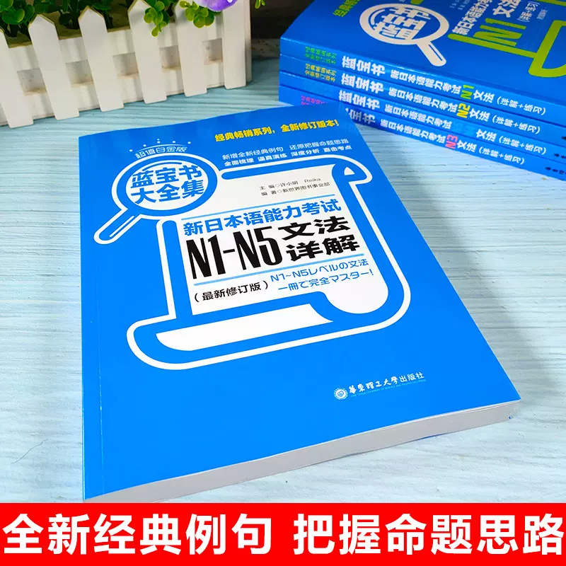 新日本语能力考试文法详解红蓝宝书n1-n5大全集白金版日语入门自学零基础标日初级新日本语能力考试n1n5单词语法真题-图0