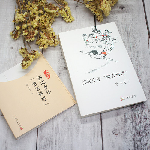 【现货正版】苏北少年堂吉诃德 我们小时候系列毕飞宇散文集朗读 童年回忆校园成长小说青春文学作品集随笔家长孩子共读畅销书籍 - 图0