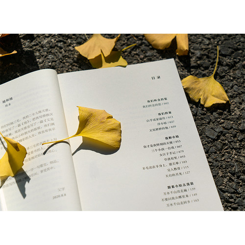 正版 我的姑姑三毛 陈天慈著 三毛家族认证的三毛传 收录不为外人所知的秘辛和趣事以及未公开的珍贵照片 名人传记书籍 - 图2
