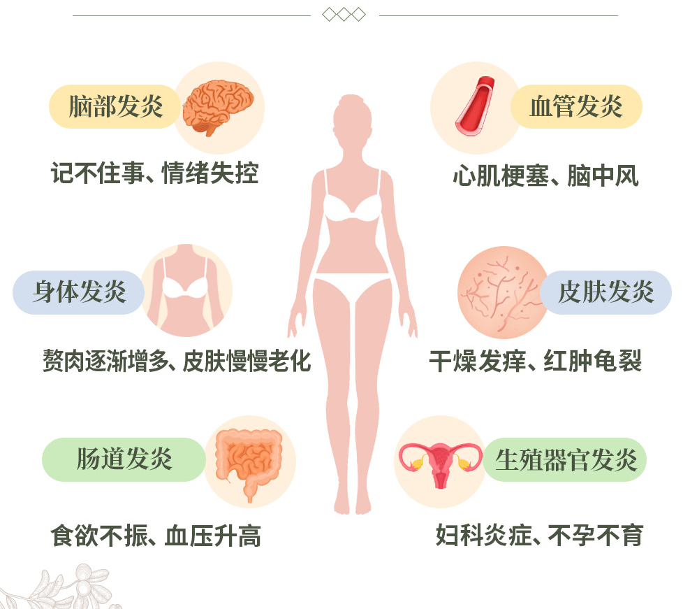 抗炎 反击老胖累 不孕不育抗炎生活健康保健养生书籍百病食疗大全 - 图2