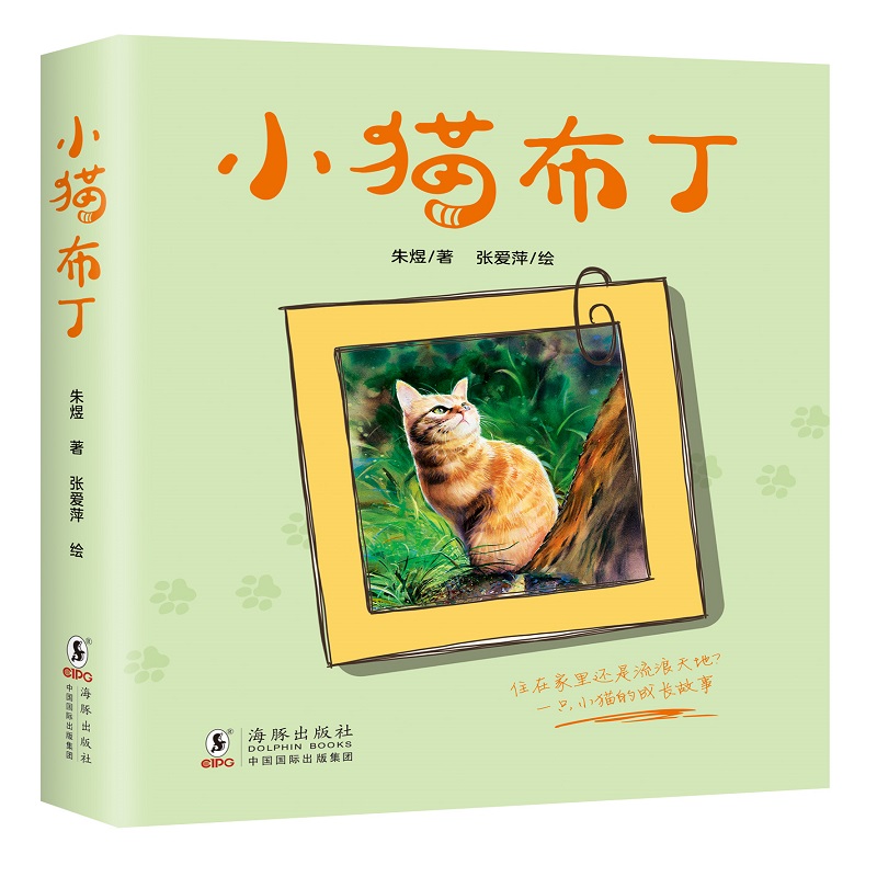 小猫布丁 —随书附赠6张小猫布丁精美明信片 一只流浪小猫的成长史 二三年级小学生阅读课外书老师 阅读 - 图0