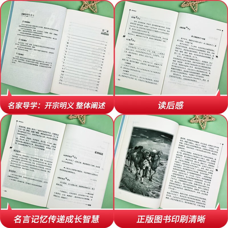 骆驼祥子老舍原著彩插励志版中小学生课外阅读书籍无障碍三四五六七八年级初一学生课外必读经典书目儿童文学故事书青少年版全集