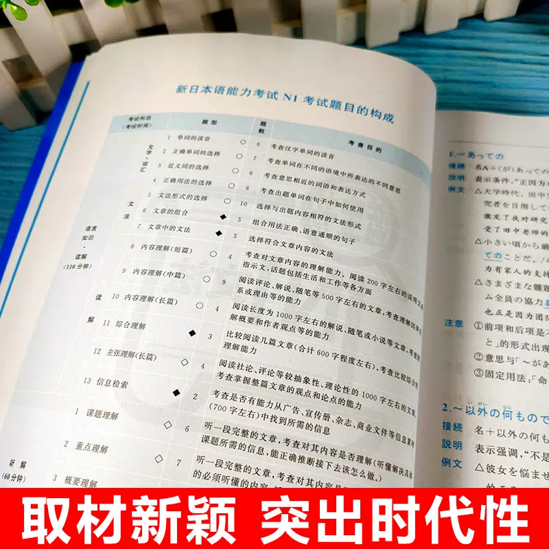 新日本语能力考试文法详解红蓝宝书n1-n5大全集白金版日语入门自学零基础标日初级新日本语能力考试n1n5单词语法真题-图2