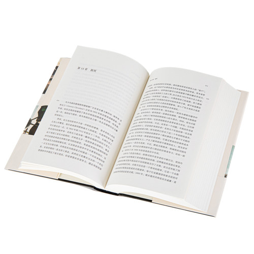 美国四百年 冒险创新与财富塑造的历史 布斯里尼瓦桑 光荣与梦想 - 图2