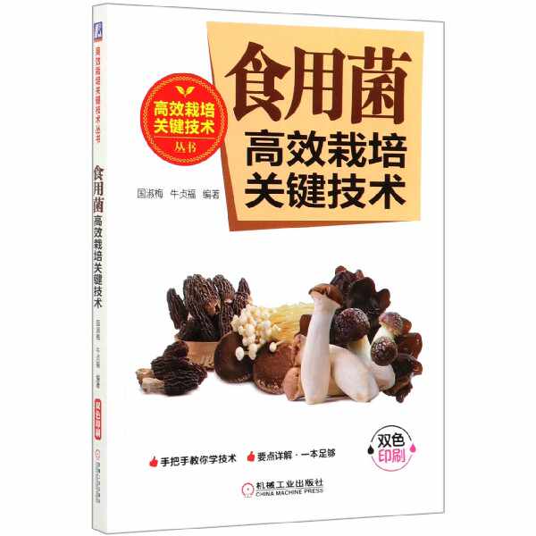 梅料 新人首单立减十元 21年10月 淘宝海外