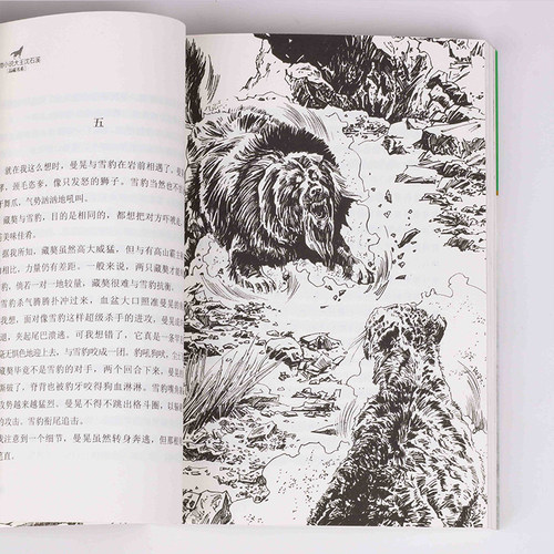新版 第七条猎狗 沈石溪动物小说品藏书系 青少年课外启发读物教辅 7-9-10-12-15岁中国儿童文学少儿童话故事小学生课外阅读书籍 - 图3