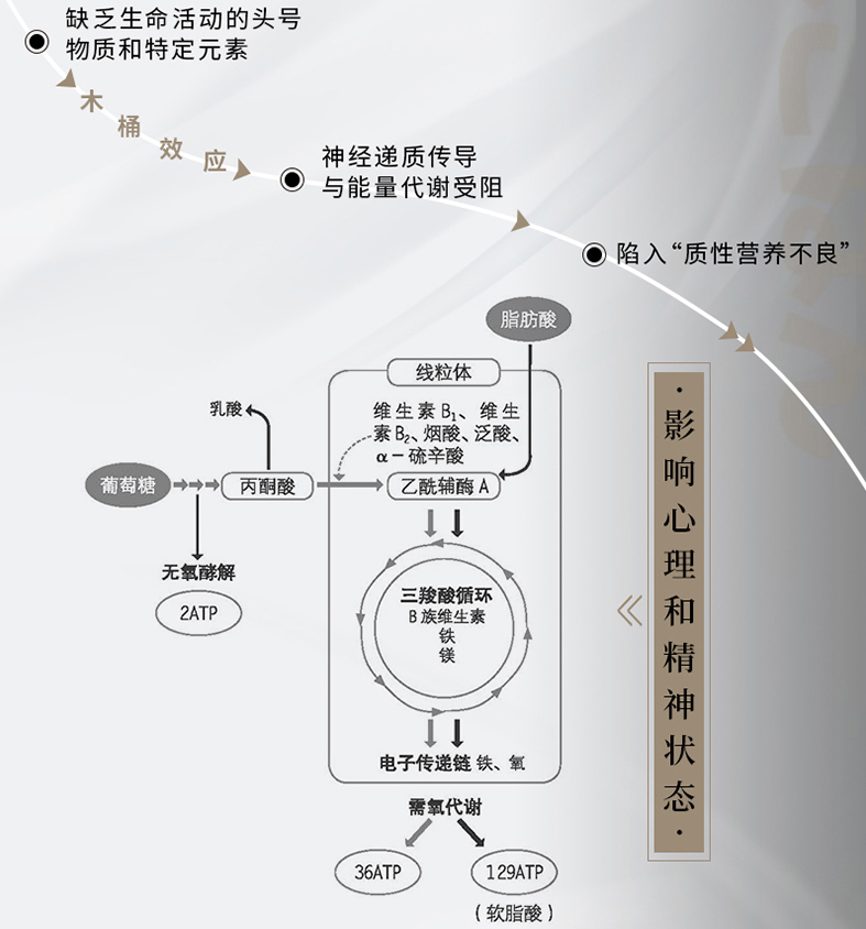 你的抑郁 90%可以靠食物改善 藤川德美 食疗心理健康营养菜谱 改善质性营养失调 抑郁症食疗书籍 消除抑郁症情绪障碍症 - 图2