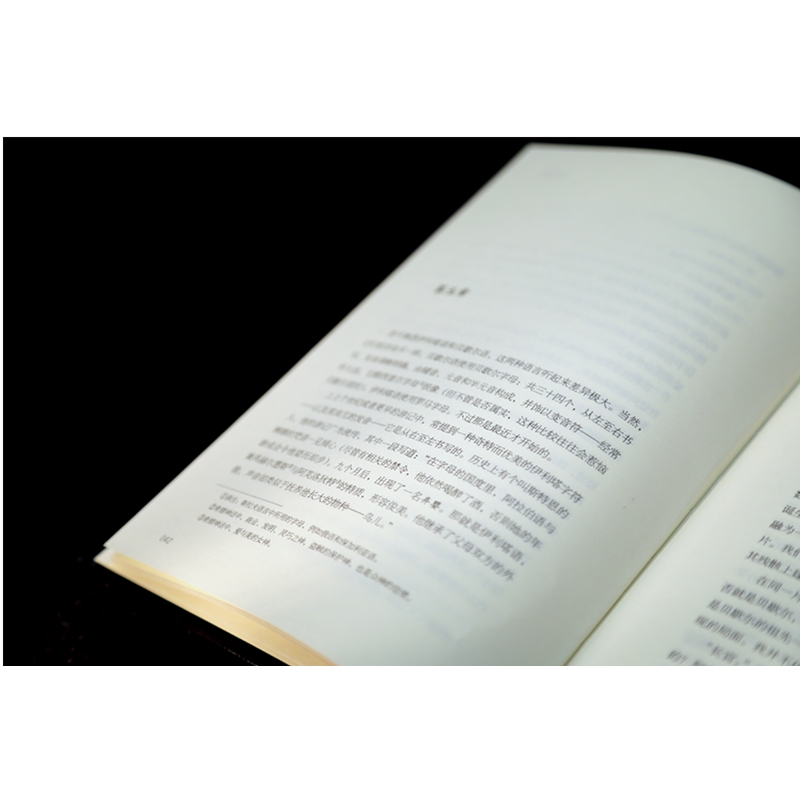 正版《城与城》柴纳·米耶维著作独角兽书系新怪诞帕迪多街车站、地疤、钢铁议会作者奇幻小说英国作家2010年雨果奖获奖作品 - 图2