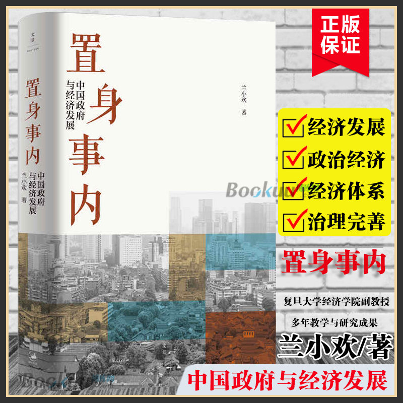 置身事内 中国政府与经济发展 兰小欢著 罗永浩王烁等联袂推 荐复旦大学经济学院副教授兰小欢多年教学与研究成果经济管理书籍正版 - 图2