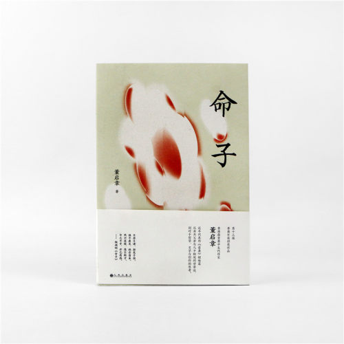 命子  第十三届香港书奖获奖作品 香港重要中生代作家董启章 博库网 - 图0