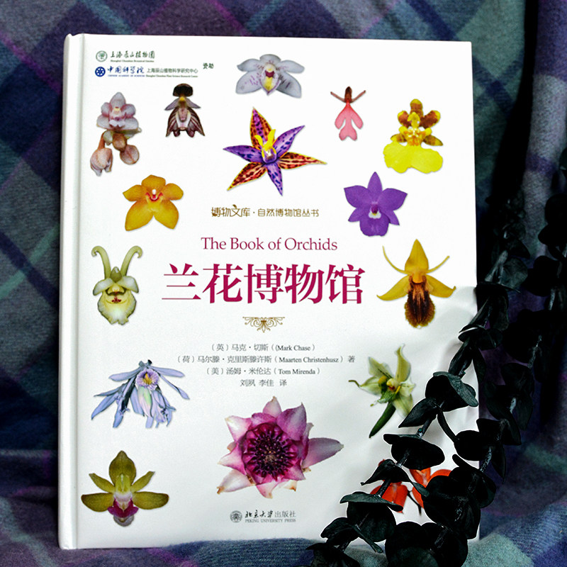 兰花博物馆 自然博物馆丛书 (英)马克·切斯(荷)马尔滕·克里斯滕许斯 汤姆·米伦达 动物植物等种类分类及生命科学研究知识书博库