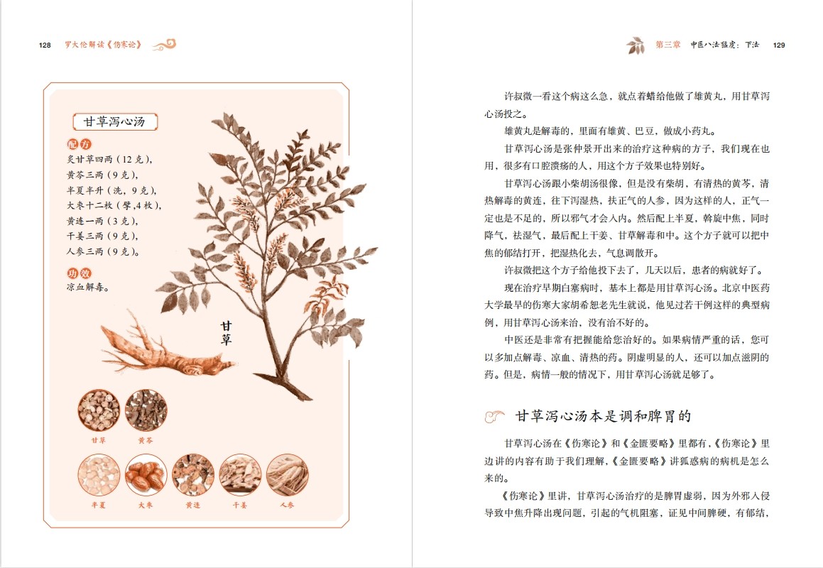 罗大伦解读伤寒论解读外感伤寒的调养之法伤寒杂病论张仲景正版 17个经典方剂讲透中医的智慧健康罗大伦的书籍正版中医养生书籍_虎窝淘