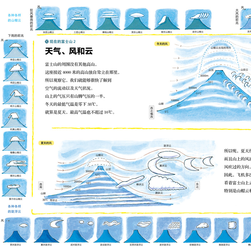 加古里子手绘博物百科全套8册儿童科普绘本动物植物高山海洋地球宇宙秘密全解自然大图鉴博物君张辰亮审订指导儿童博物百科全书籍 - 图2