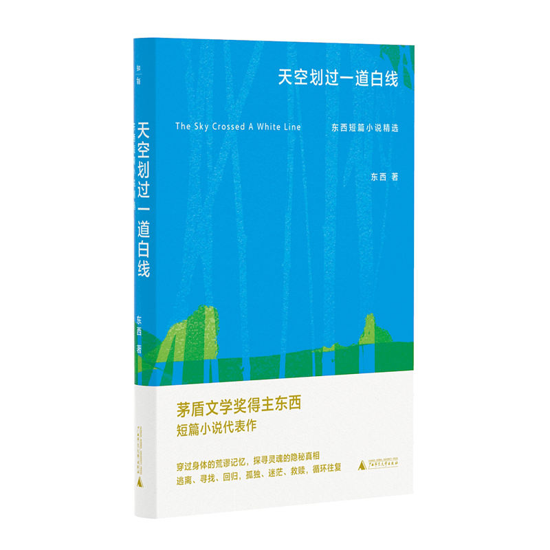 正版新书 天空划过一道白线 东西短篇小说精选 东西著 茅盾文学奖得主短篇小说代表作 穿过身体的荒谬记忆，探寻灵魂的隐秘真相