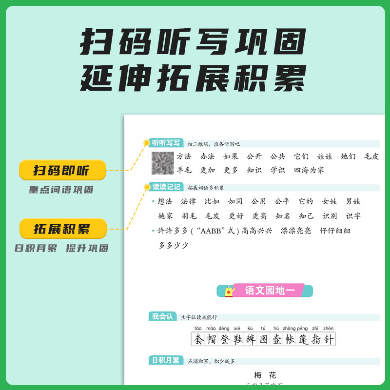 2024阳光同学写好规范字语文2二年级上册练字帖人教版全国通用小学专用儿童生字笔顺每日一练作业本练字小学生专用字帖练字帖
