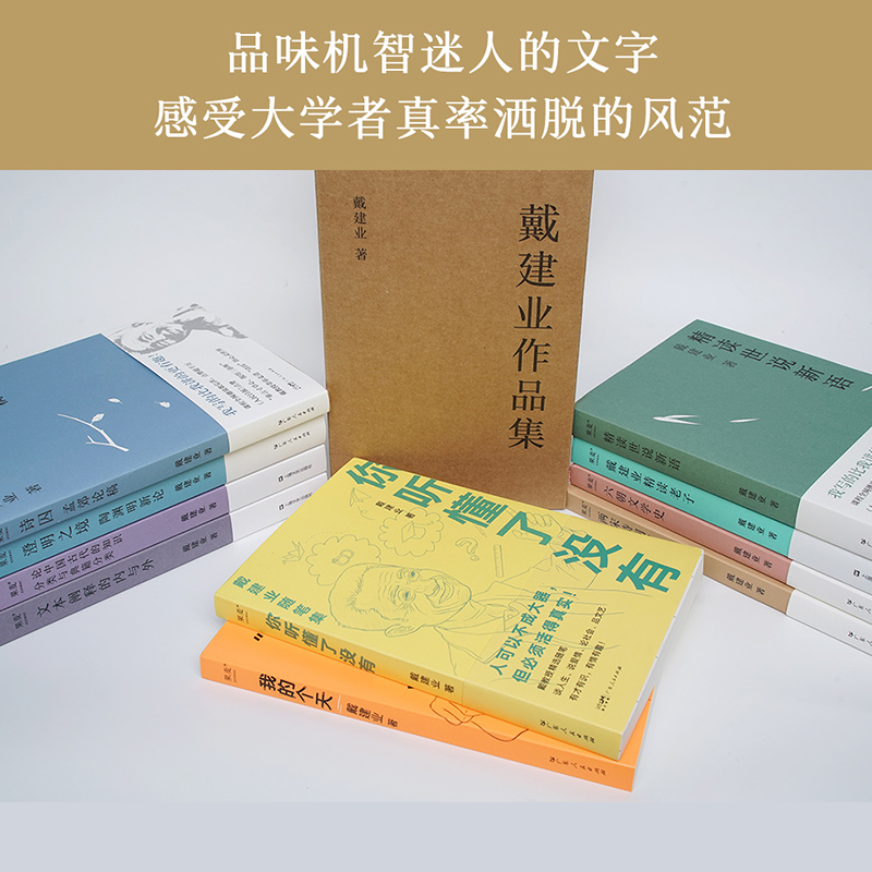 现货速发 戴建业作品集全套共10册 我的个天精读老子世说新语两宋诗词简史澄明之境六朝文学论你听懂了没有文本阐释的内与外畅销书 - 图0