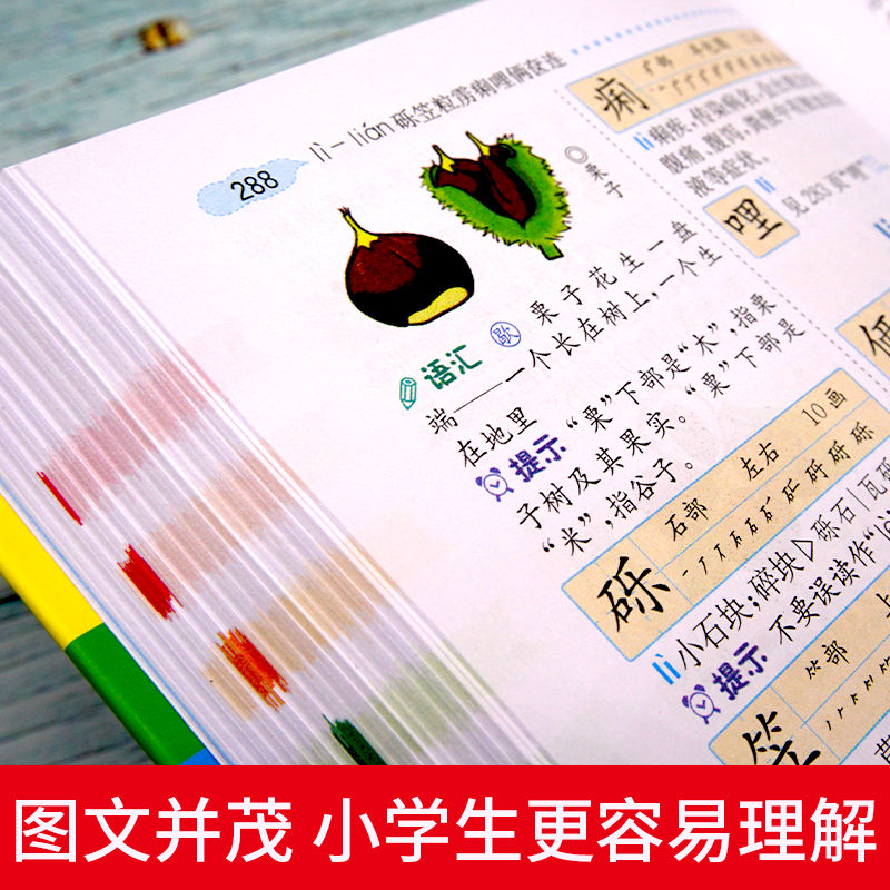 新华正版 小学生多功能字典 彩图版大开本  专用辞书工具书词典 开心辞书著 满足学生课内外查阅需求语言文字规范注音准确