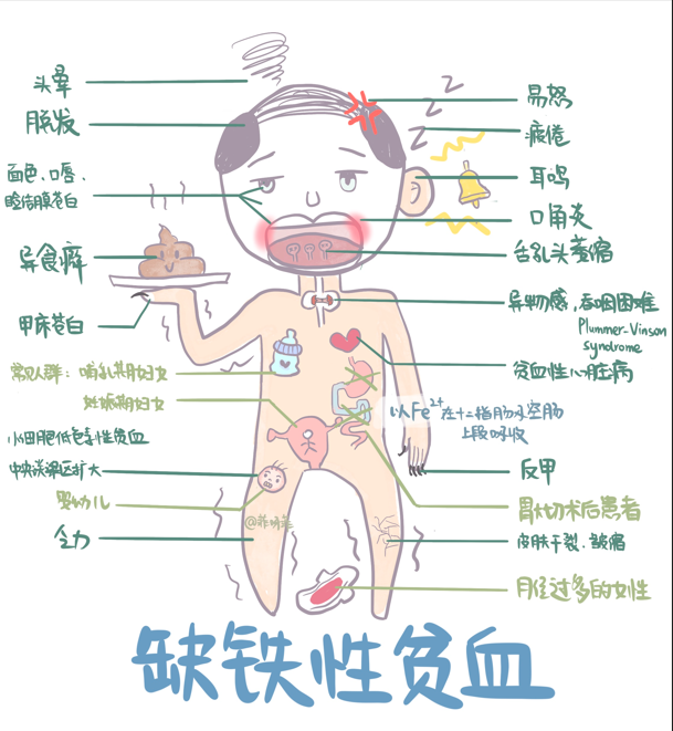 医学生漫画笔记 医学生笔记北京科学技术出版社小红书名校学霸博主菲呀菲常可爱执医考试难点实战经验总结 菲常好记医学生漫画笔记 - 图0