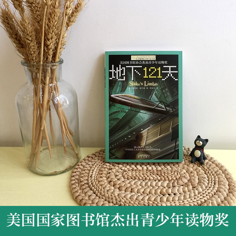 正版长青藤 大奖小说系列:地下121天 霍尔曼儿童文学故事书9-12-15岁四五六年级中小学生课外书籍青少年阅读物少儿励志图书,淘宝优惠券,粉丝福利购,淘宝优惠卷