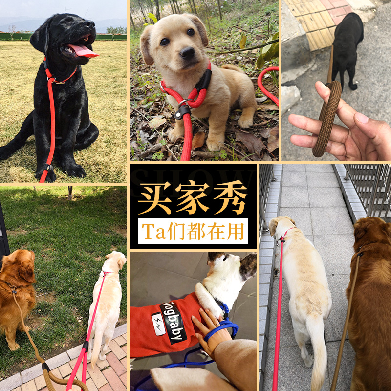 狗狗牵引绳小型中型大型犬链子泰迪训狗绳P链项圈宠物用品拴狗绳-图2