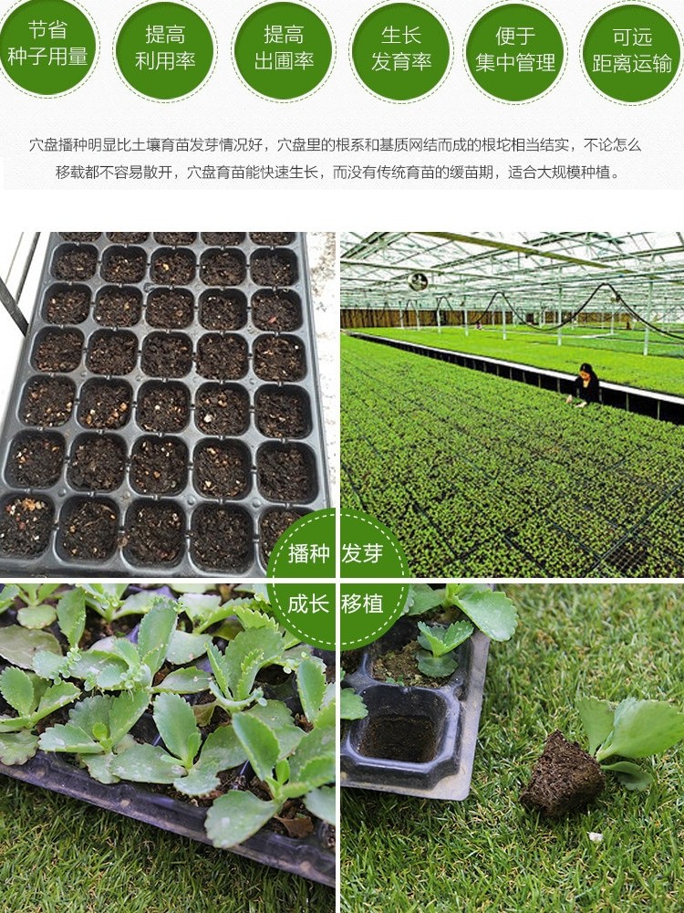 育苗盘穴盘育苗盆育苗杯育苗盒玉米育苗专用盘西瓜育苗盘穴盘苗盘,淘宝优惠券,粉丝福利购,淘宝优惠卷