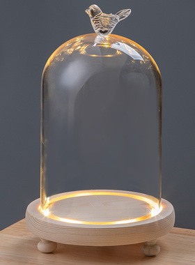 高脚发光灯槽手办玻璃罩永生花花