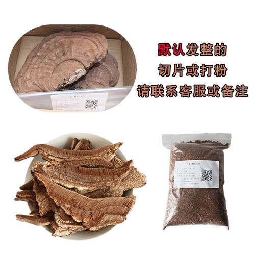 野生树舌灵芝大个块青芝250g正品灵芝片粉长白山平盖灵芝整枝 - 图1