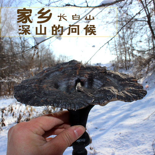 日常款】半野生紫芝黑芝黑灵芝林下紫灵芝可免费切片打粉250g新货 - 图1