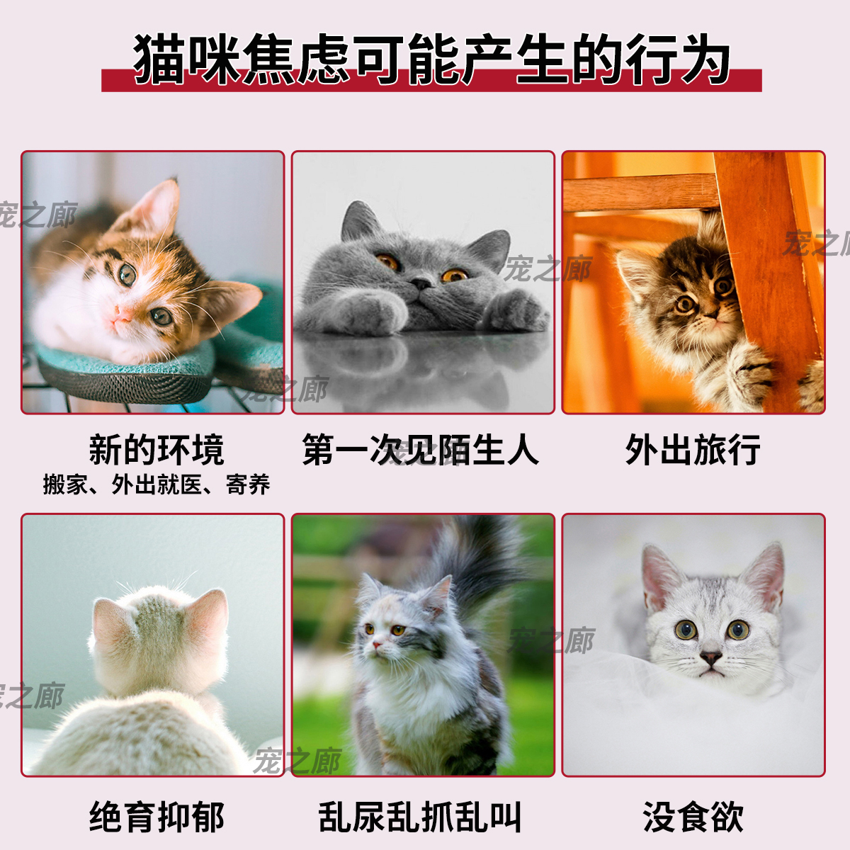 费利威费洛蒙猫喷雾经典款猫咪情绪舒缓剂插电款外出应激乱尿喷雾 - 图0