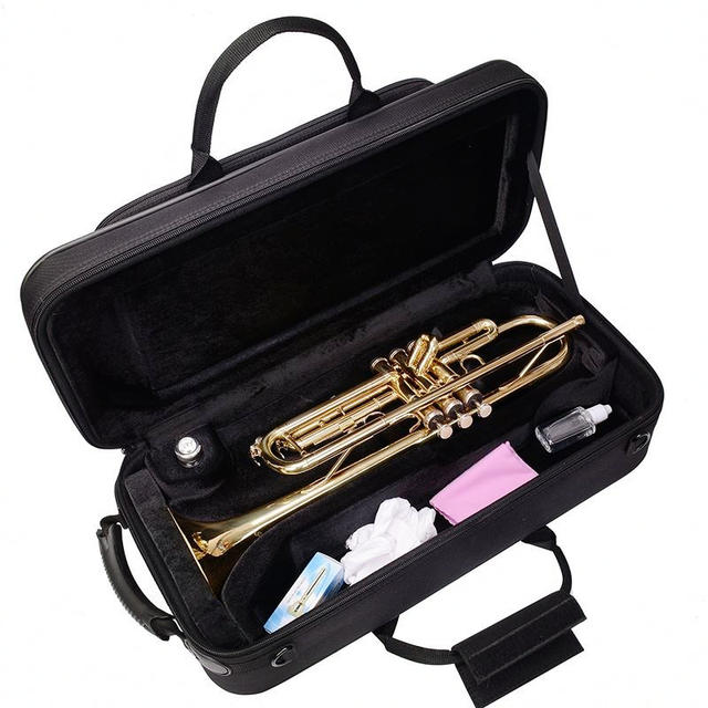 Anti-fall and waterproof small musical instrument bag pulley
