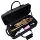 Anti-fall and waterproof small musical instrument bag pulley