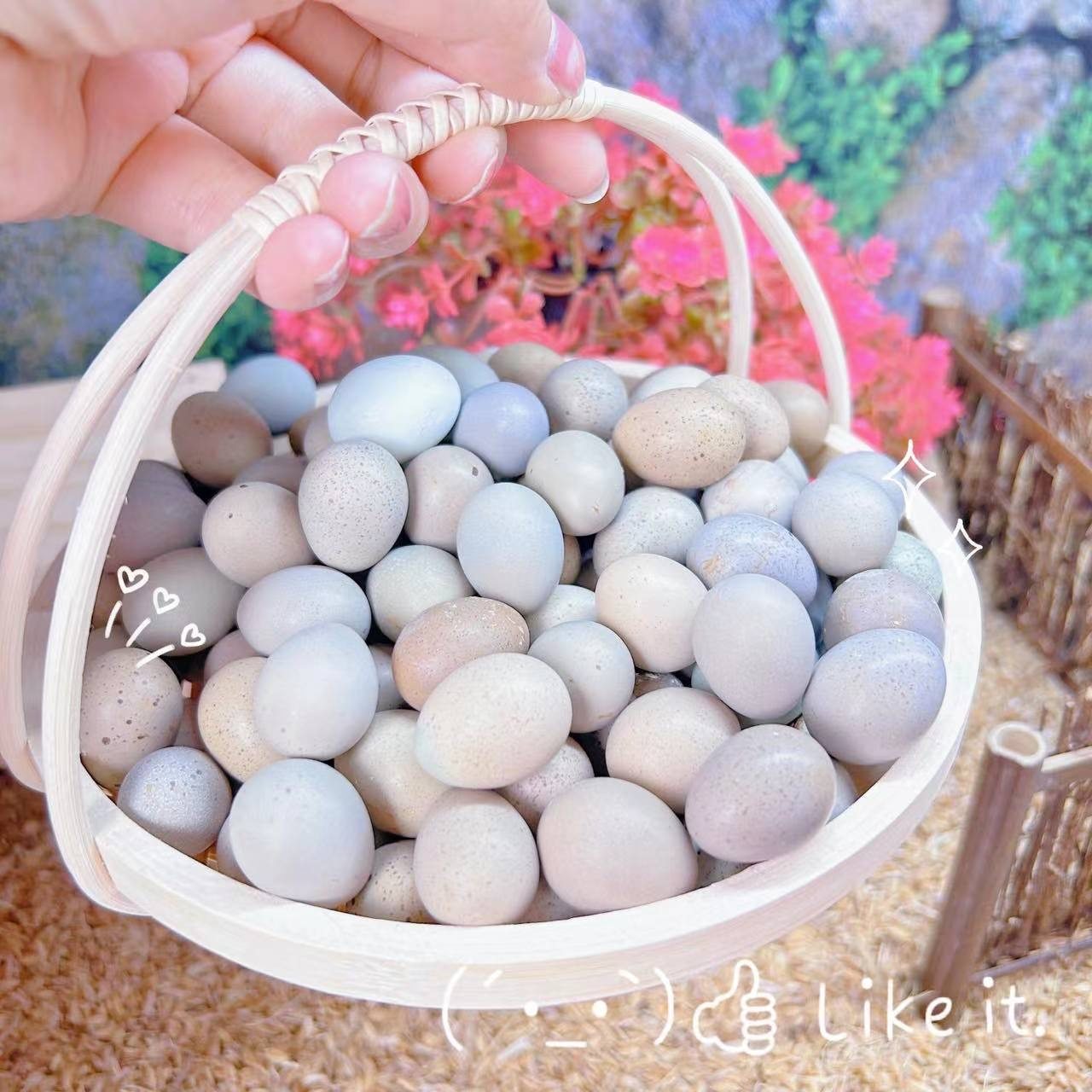 芦丁鸡受精可孵化蛋网红迷你宠物鸡蛋纯白礼服德系卢丁鸡蛋受精卵,淘宝优惠券,粉丝福利购,淘宝优惠卷