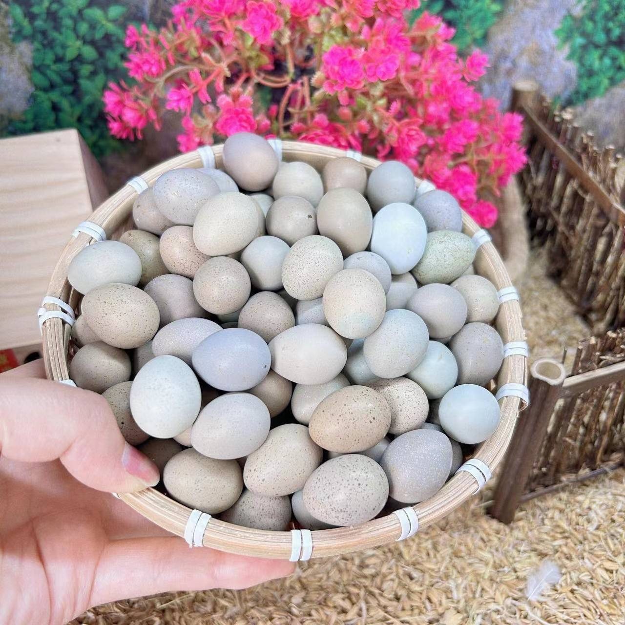 芦丁鸡受精可孵化蛋网红迷你宠物鸡蛋纯白礼服德系卢丁鸡蛋受精卵,淘宝优惠券,粉丝福利购,淘宝优惠卷