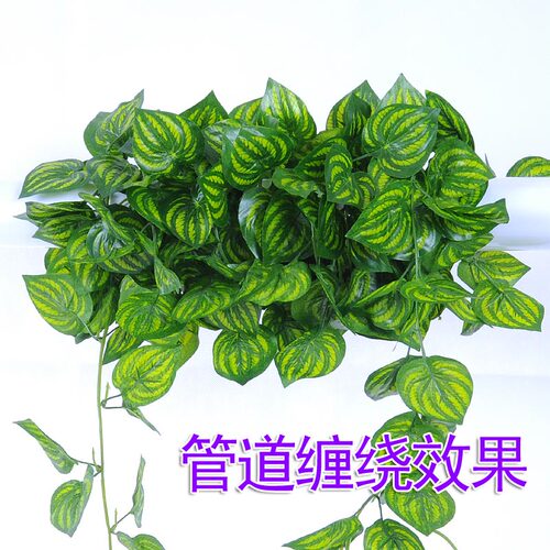 仿真西瓜叶藤条花藤假花藤蔓仿真葡萄叶绿叶植物吊顶装饰绿植藤条 - 图0