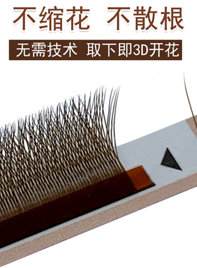 焦糖色三叶草睫毛嫁接3d自动开花