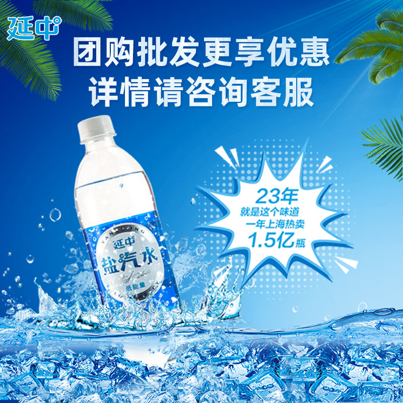 24年新货上海 延中盐汽水600ml*20瓶夏季饮品低能量碳酸饮料团购 - 图2