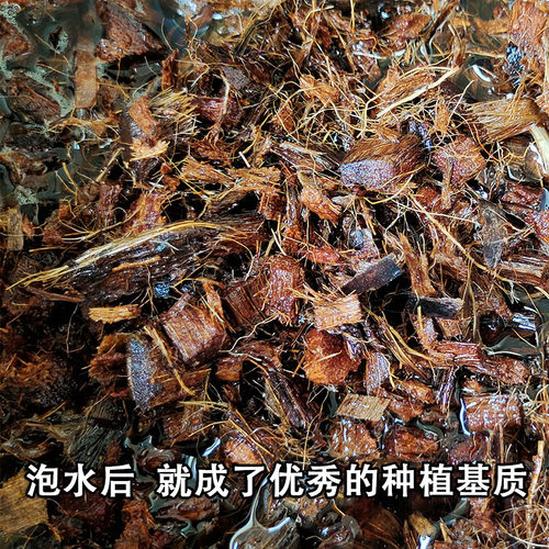 正品格陆谷粗椰壳块营养土兰花玫瑰月季红掌植蔬菜天然栽培基质 - 图0