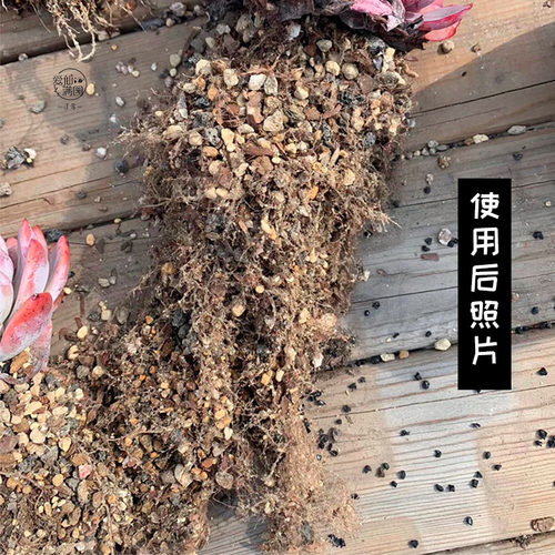 5包包邮三仙颗粒土 日本进口多肉植物专用颗粒土种植营养土赚口碑 - 图2