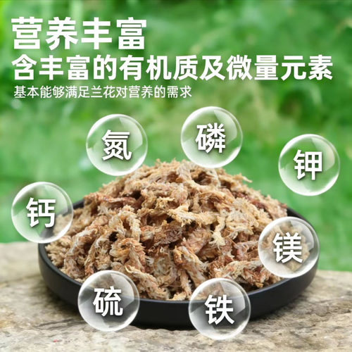 进口精选七星智利水苔毛毛虫干苔藓兰花蝴蝶兰多肉食虫石斛微景观 - 图1