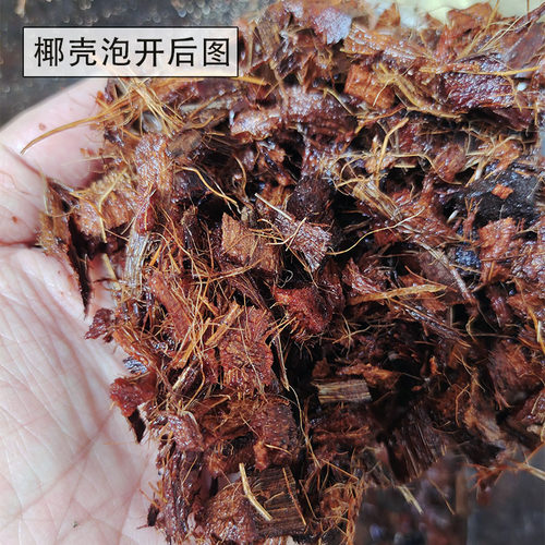 正品格陆谷粗椰壳块营养土兰花玫瑰月季红掌植蔬菜天然栽培基质 - 图2