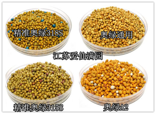 进口奥绿肥A2 318S 315S缓释肥料颗粒肥多肉球根月季兰花石斛植物 - 图2