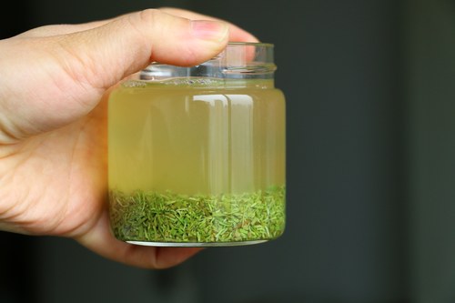 信阳毛尖2026明前新茶绿茶碎茶末碎茶角清香味500g包邮 - 图2