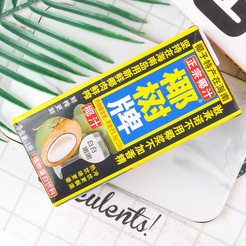 椰树1L椰汁正宗椰树牌海南特产植物蛋白椰奶椰子汁饮料1000ml*1盒 - 图2