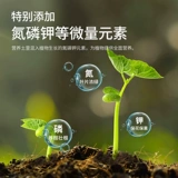 Пищевая почва -культивируемая почву, размещенная почва, гидрангея, органическая домашняя домашняя цветочная грязь