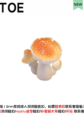 3D七彩云南洞洞鞋配饰diy