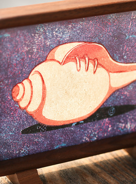紫气东来珠光宝螺秋季白海螺