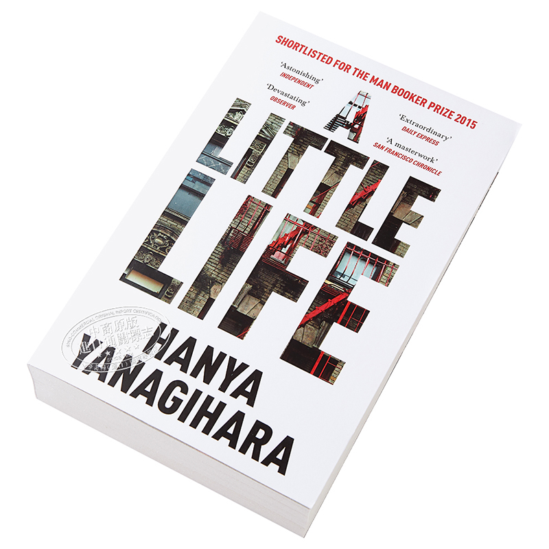 现货 渺小一生 英文原版 A Little Life 柳原汉雅 文学小说 Hanya Yanagihara【中商原版】 - 图1